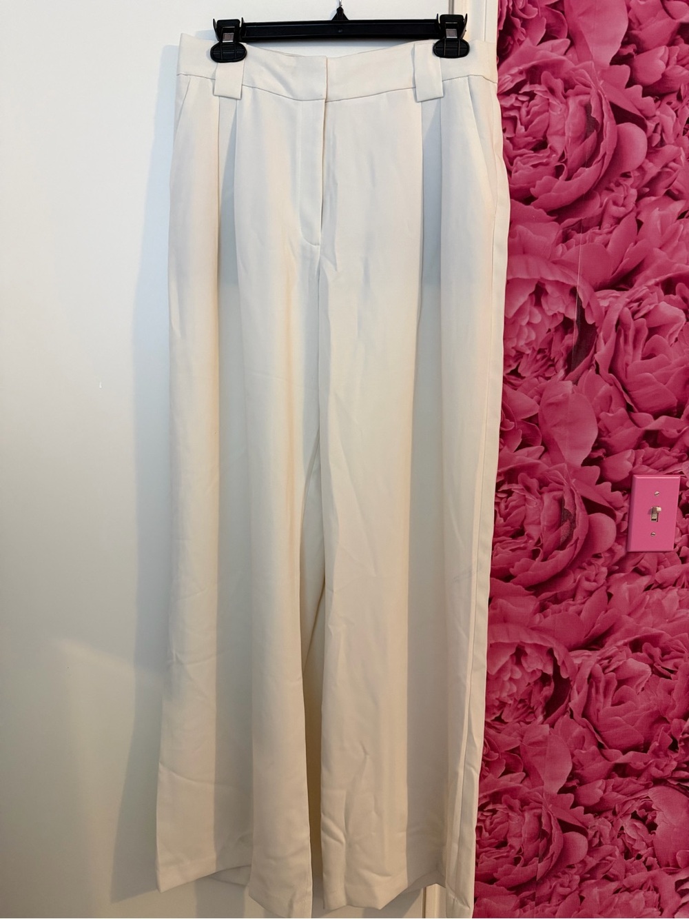 Express Cream Wide-Leg Dress Pants